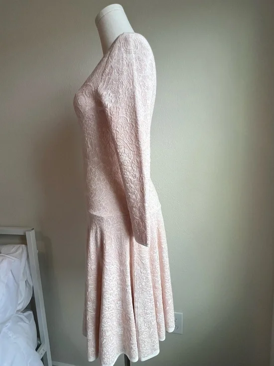 Alexander McQueen Pale Blush Lace Long-Sleeve Mini Dress - Picture 4 of 9